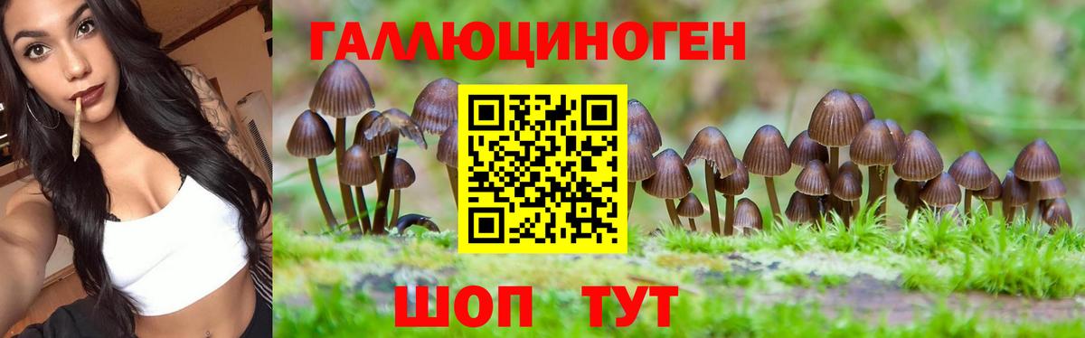 Воронеж  Галлюциногенные грибы мухоморы  Вход с VPN  Галлюциногенные грибы прущие грибы 