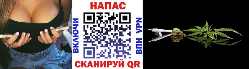 Бошки Шишки марихуана  kraken как зайти  Воронеж 